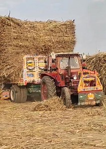 Belarus MTZ 50 Stunt Heavy Loaded Trailer Sugarcane Best Powerful Tractor | Champion kabaddi Club