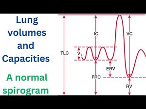 Pulmonary Function Tests: Lung Volumes, Capacities, and the Normal Spirogram