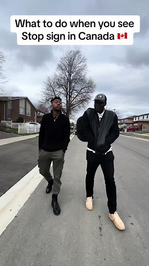 Understanding Canadian Road Signs: Stop Sign Protocol Explained