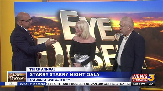 3rd Annual Starry Starry Night Gala
