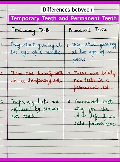 Difference Between Temporary Teeth And Permanent Teeth | #shorts #viral