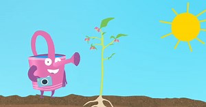 Le cycle de vie des végétaux