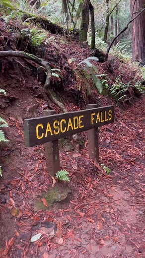 1.9K views · 866 reactions | Cascade Falls is one of the easiest...