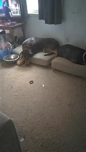 trouble 4000 (@trouble.4000)’s videos with original sound - sr67000