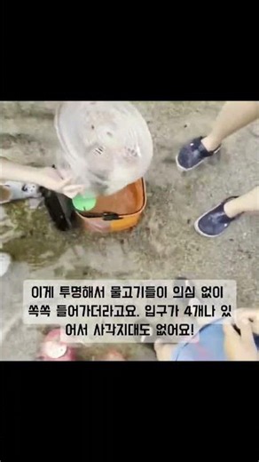 캠핑, 계곡 필수템! 던져만 두면 물고기 폭발하는 투명 어포기 정보공유😁