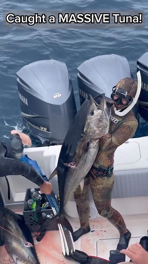 Looks like we're eating good tonight 😋 #tuna #fishing #kellyyoung | Kelly Young
