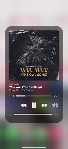 Enny Man Da Guitar - Wuu Wuu (The Owl Song)