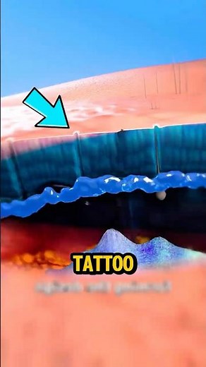 Why Don’t Tattoos Ever Disappear? 😱 The Science Explained!