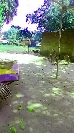 monikadevnath6 on TikTok