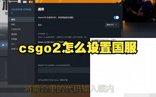 【CS2】cs2怎么设置国服？
