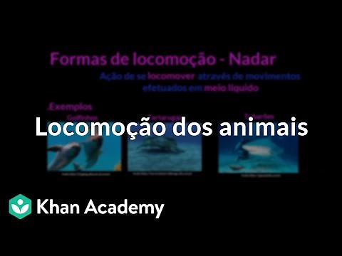 Animal locomotion
