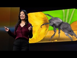 Are insect brains the secret to great AI? - Frances S. Chance