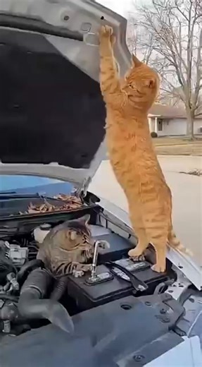 วิดีโอของ SUPOT (@supot6010) พร้อมเพลง เสียงต้นฉบับ - SUPOT