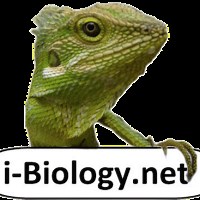 Data-based Questions (DBQs) – i-Biology