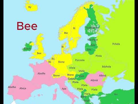 Insects in Different European Languages | Language Map