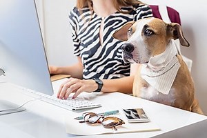 Online Dog Training - Canine Learning Academy
