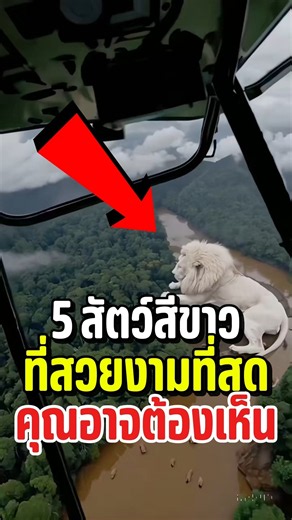 5 สัตว์สีขาวที่สวยงามที่สุด! 🤍🐑🔥 #shorts #viral #สัตว์โลกน่ารัก