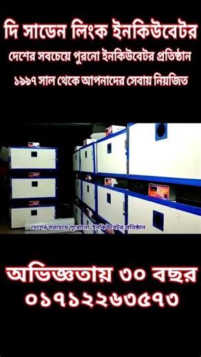 The sudden Link Incubator Co. #পোল্ট্রিখামার