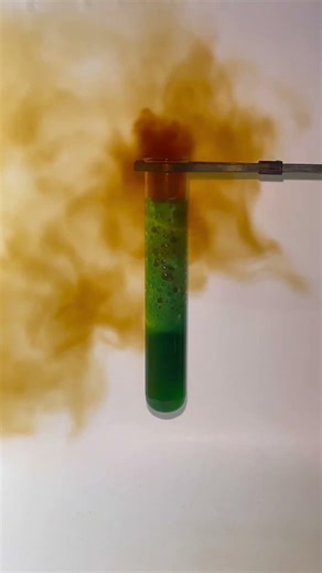 Copper vs Nitric Acid: The Blue Magic! ✨ 🧪 / #chemistry #shorts #experement