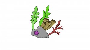 Download animated video of the coral reef icon for free