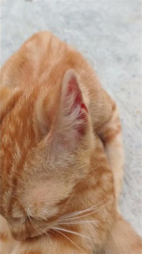 # Vanessa # asicalandose # Mateo 😻💖