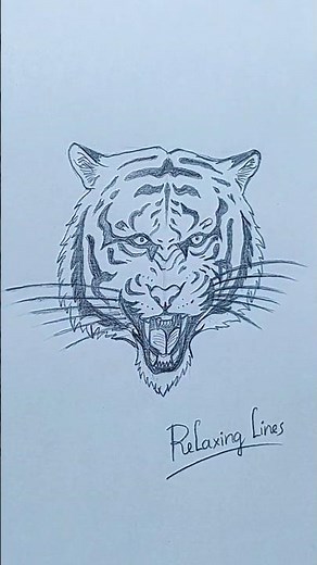 How to Draw a Tiger Easy | Step by Step Drawing Tutorial for Beginners