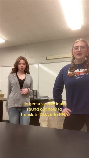 Understanding the DNA to RNA Translation Process