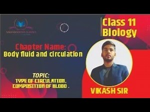 BREATHING AND EXCHANGE OF GASES - CLASS 11 BIOLOGY LECTURE