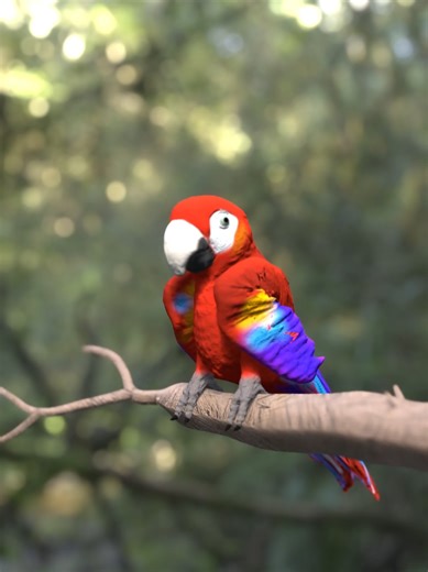 Parrot flying - 3D Animation 🦜 - 3D Modelling: Zbrush - Retopology: Autodesk Maya - UV map making: Blender - Texturing: Adobe Substance 3D Painter - Rigging, Scene Setup, Animation & Lighting: Blender #parrot #parrotlife #3danimation #3dart #blender3d