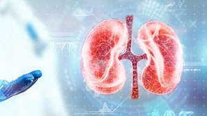 5 Tanda Gagal Ginjal pada Tubuh Anda, Perhatikan Bagian Kaki hingga Kulit - Tribun-bali.com