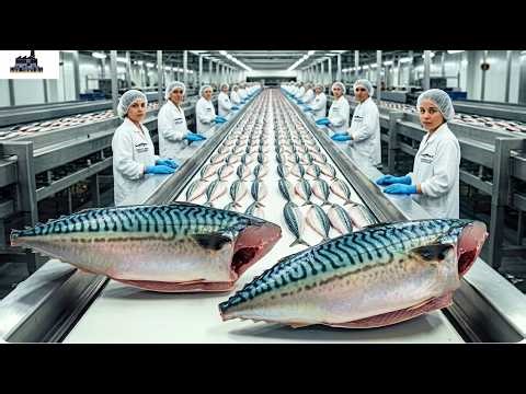 From Ocean to Plate – Amazing Mackerel Fish Fillet Processing Factory 4K