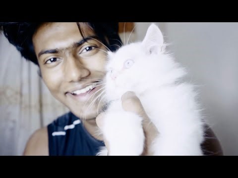 This Is What My Real Gym Life Looks Like (No Filters Included)