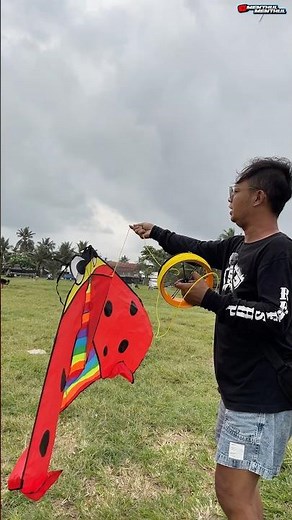 Flying a ladybug kite using a racing bladu ‼️