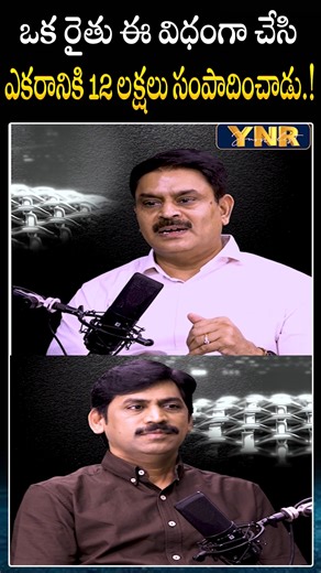 Narasimha rao yenika on Instagram: "ఒక రైతు ఈ విధంగా చేసి ఎకరానికి 12 లక్షలు సంపాదించాడు.! #fertilizer #farmers #farming #IndianAgriculture #agriculture #prathibhabiotech #Rajasekharreddy #YNR #journalistynr"