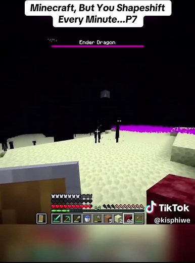 Minecraft: Shapeshifting Every Minute Challenge
