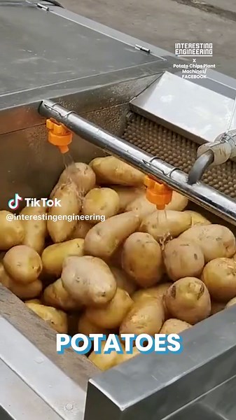 Potato Chips Making Process Explained