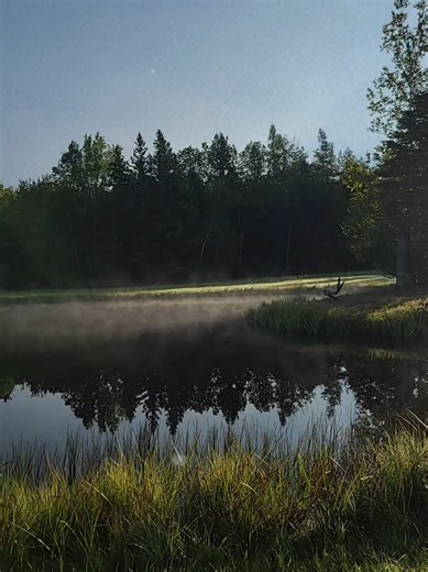 Never compare, no two are the same! 💞 #sunandmoon #fy #fog #pond #nocomparison