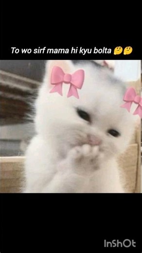 Bolo mama ??🤔😂😂 think ever,🤔🤔#funnyvideo #memehub #cat