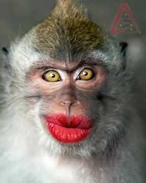 #LaxmmiBomb​​​​​​ #LaxmmiBombMovie​​​​​​ #AkshayKumar​​​​​​ Laxmmi Bomb Full Movie Akshay K, Kiara