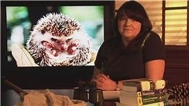 Watch Where Do Hedgehogs Live? on Amazon Live