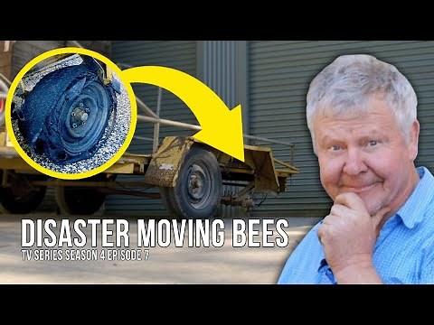 Transporting Bees with Trailer Troubles | The Bush Bee Man