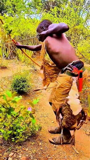Hadzabe Daily Hunt – Last Hunter-Gatherers of Africa. #HadzabeTribe​ #AfricanHunt​ #shorts​