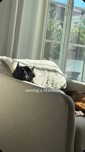 Alexis Elliott | his jumps are getting more wild 😂 | Instagram