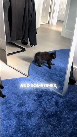 Why You Sometimes Don’t Recognize Yourself in the Mirror