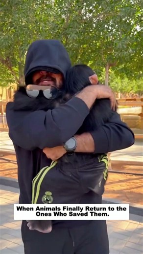 When Animals Finally Return to the Ones Who Saved Them.