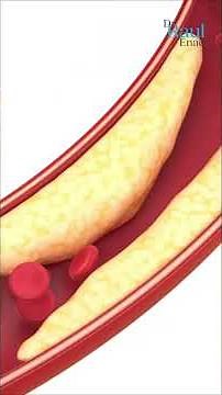 How Stem Cells Are Harvested: The Truth Revealed