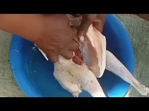 How to Gut a Chicken Step by Step|Chicken Slaughtering