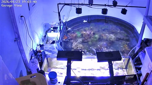 #AquatechAquariumDesign #ReefBuilders #AquariumMaintenance #Aquatech #Miami