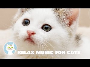 Healing Music for Cats] Music to relax cats and reduce anxiety｜with water sounds, solfeggio
