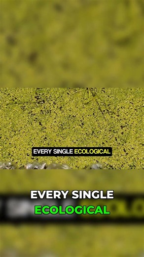 Our Approach — Helping Ecology The Smart Way!
